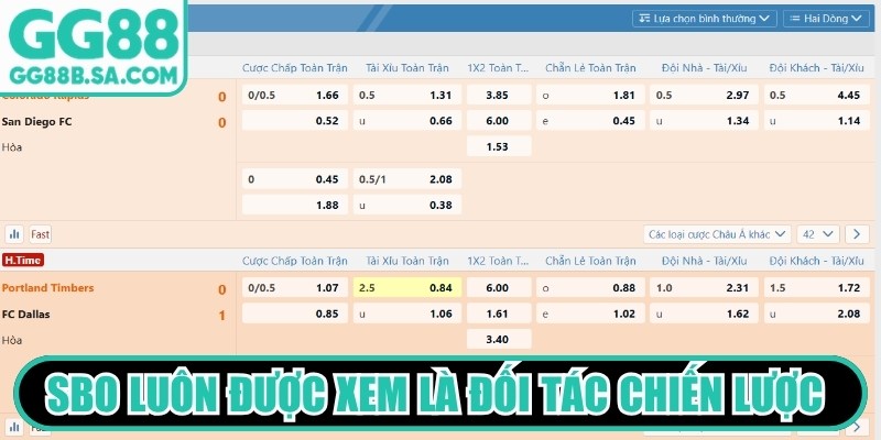 SBO luôn được xem là đối tác chiến lược thành công đáp ứng nhu cầu